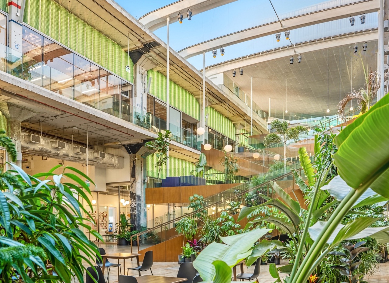 Multi-level interior common space of a modern Houston building with diverse live plants and a central sky-light