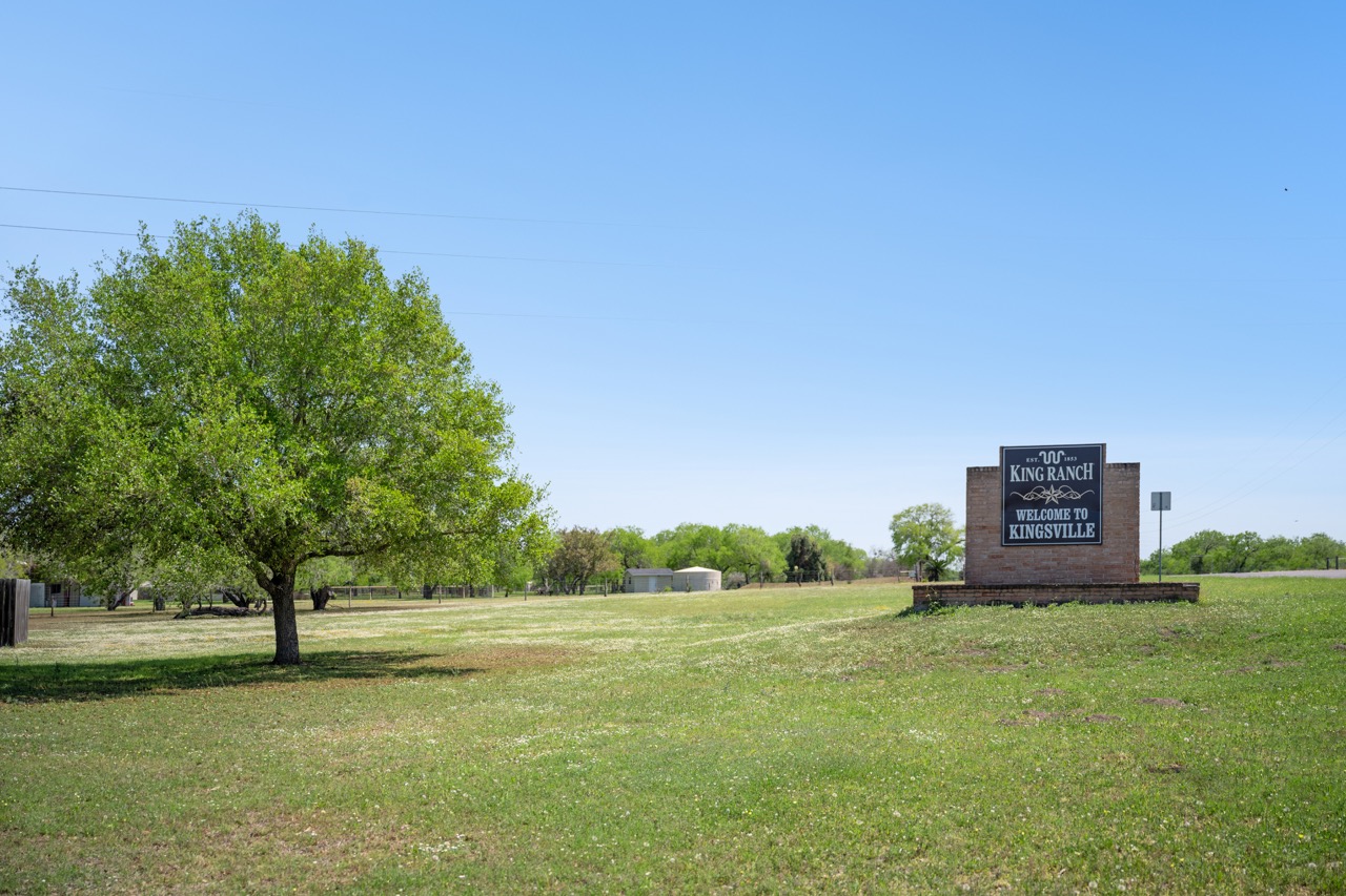 Wide grassy lawn featuring a large tree and a brick Welcome to Kingsville and King Ranch monument sign.