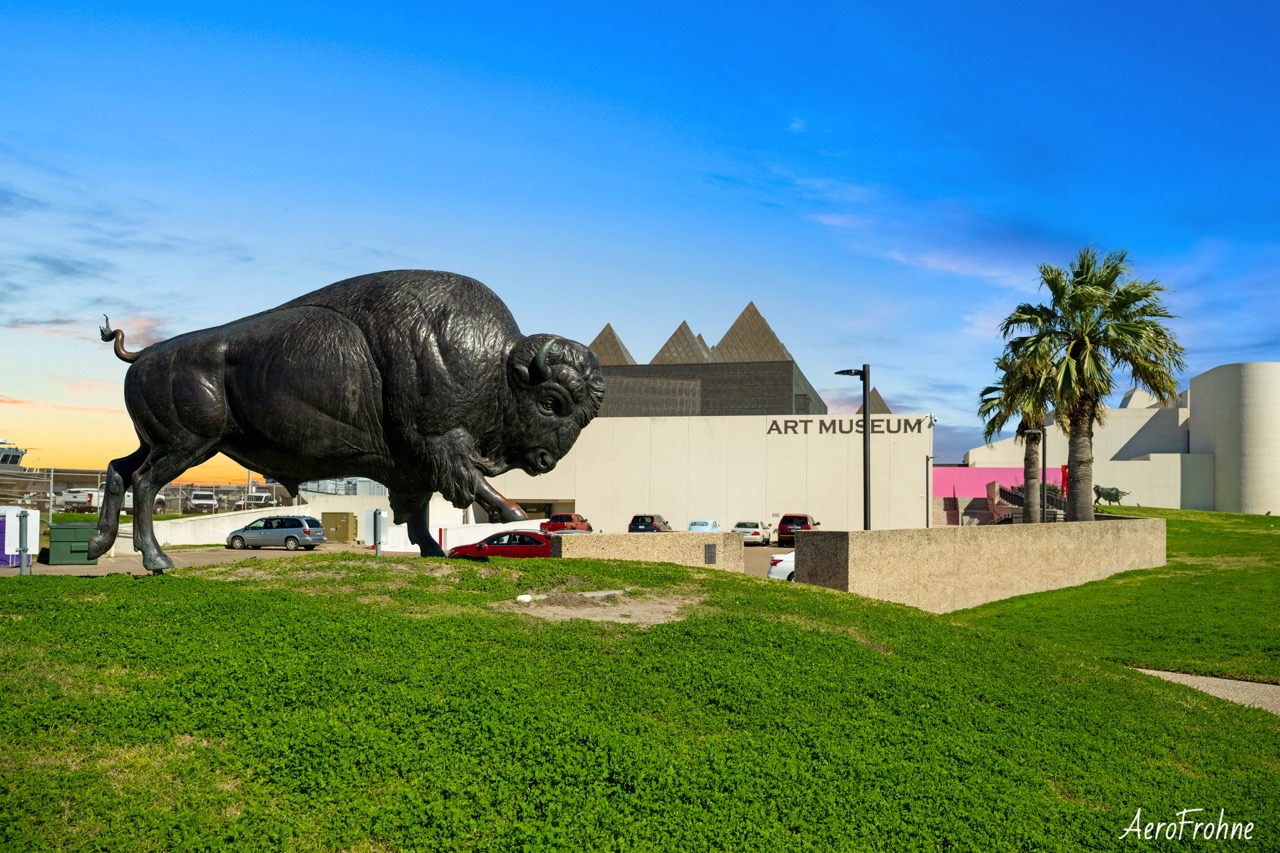 A bronze bison statue in front of the Art Museum