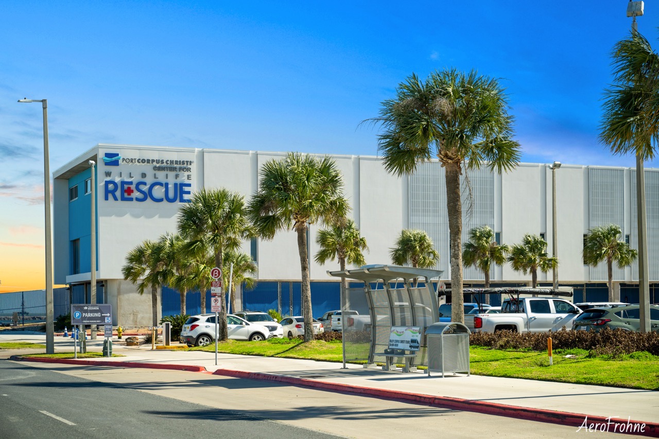 Port Corpus Christ Wildlife Rescue building