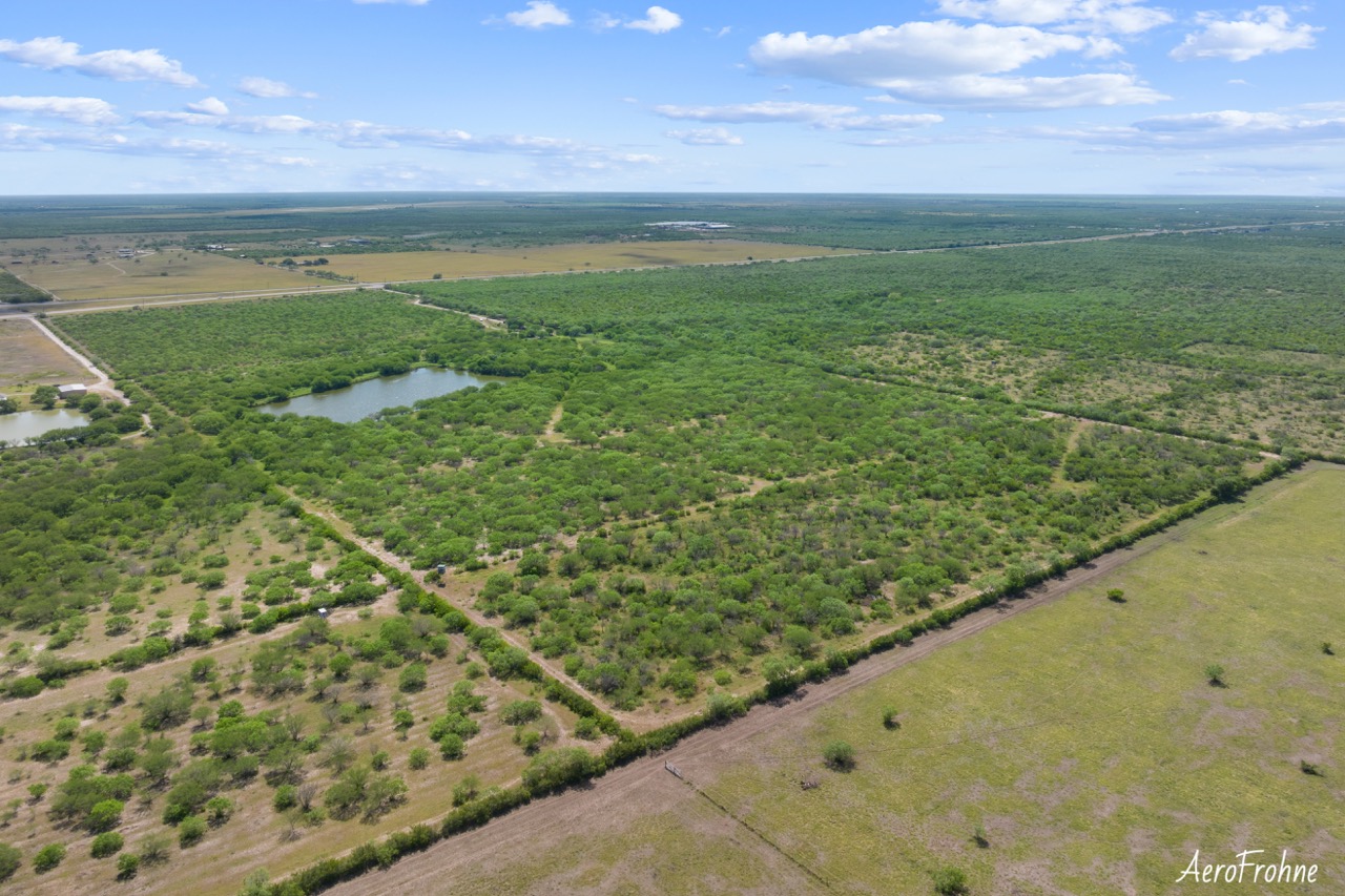 Aerial view of rural land with trees
