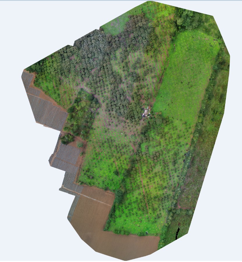 Digital terrain model for land surveying in Puerto Vallarta, Jalisco