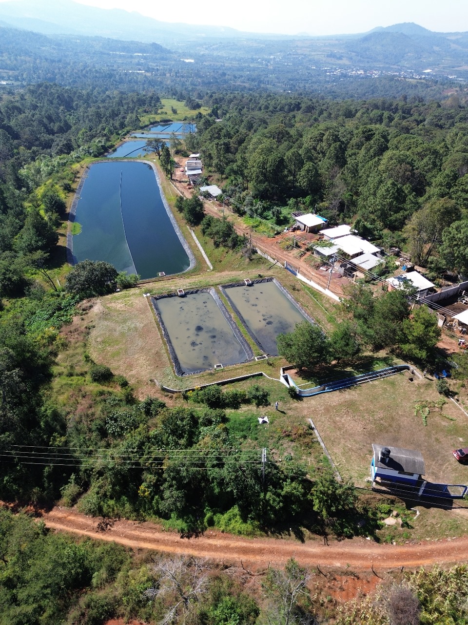 Drone y ortomosaico para topografía en Peribán, Michoacán